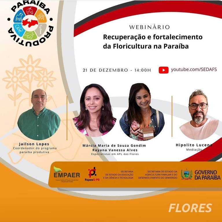 Divulgação Divulgação