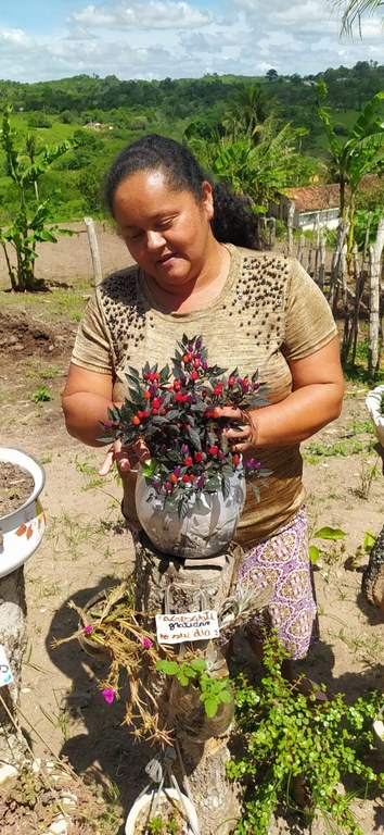 Maria José, vó Lia, artesã e produtora Maria José, vó Lia, artesã e produtora