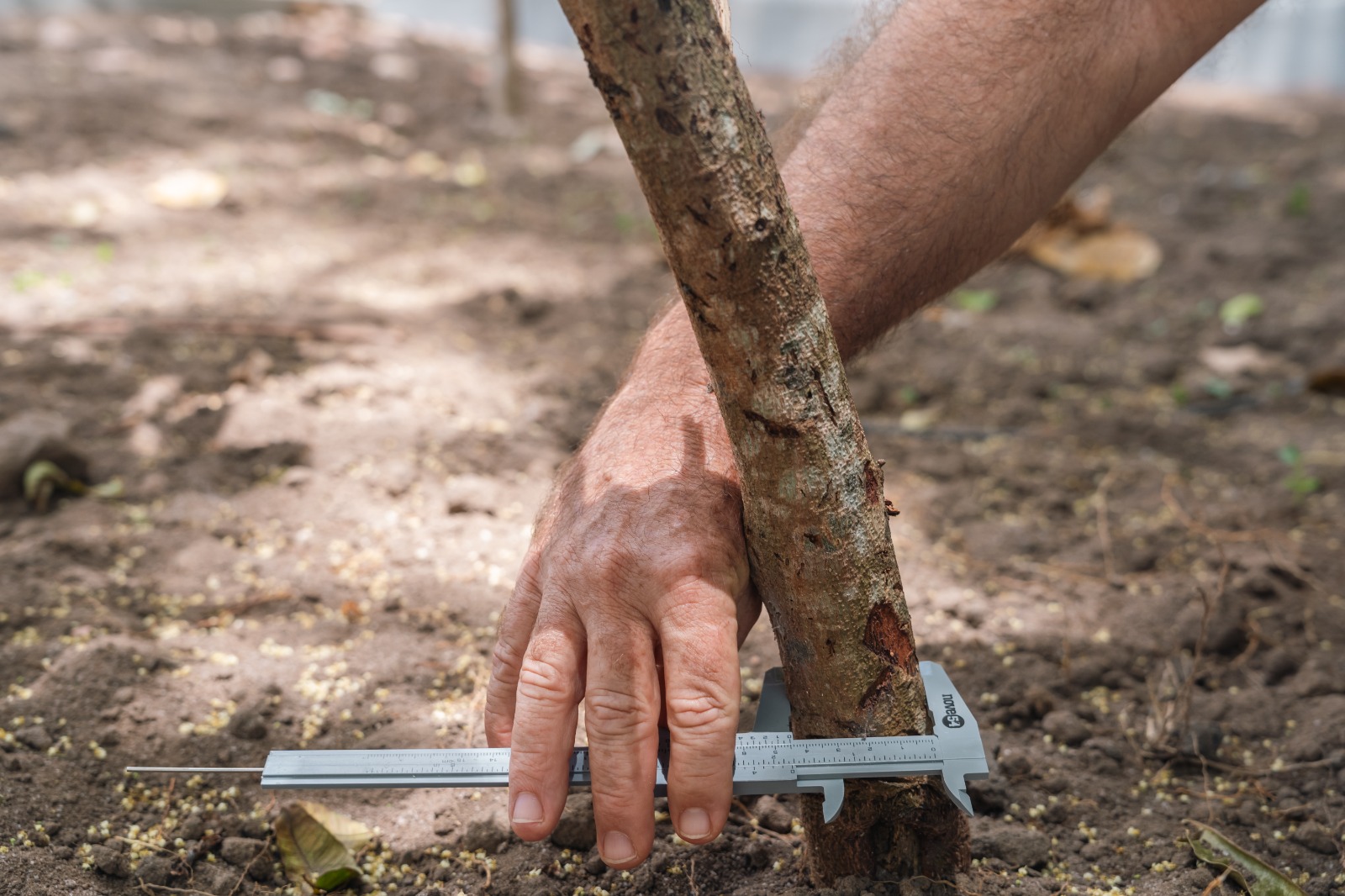 WhatsApp Image 2025-11-11 at 10.59.50 (3).jpeg