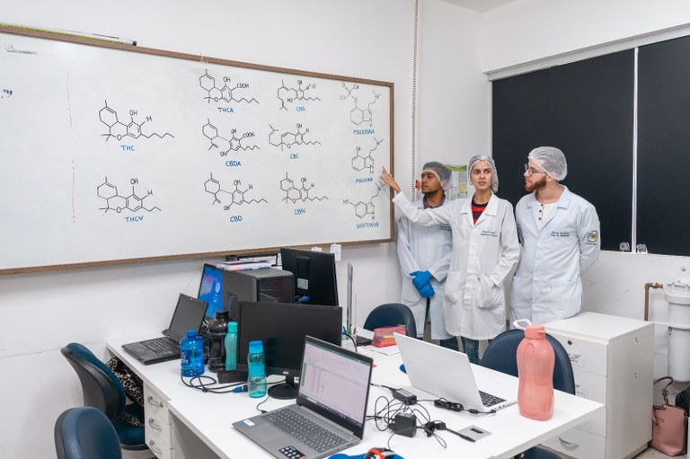 WhatsApp Image 2025-08-11 at 15.44.16.jpeg