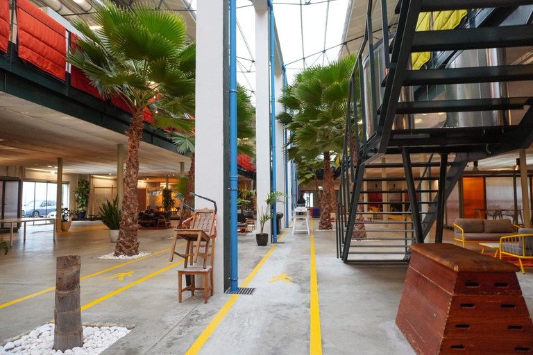 WhatsApp Image 2025-11-13 at 08.32.20.jpeg