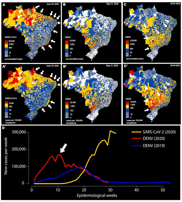 Mapas Mapas