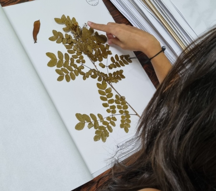 WhatsApp Image 2025-07-30 at 10.47.34.jpeg