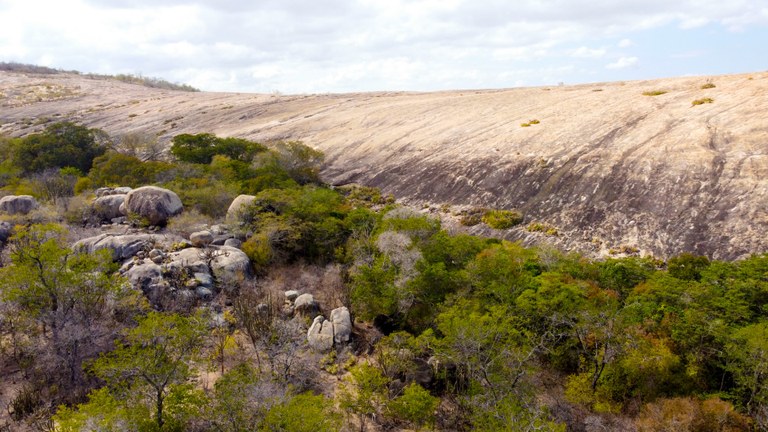 Foto de manodecarvalho-Fazenda Salambaia-mata na encosta do lajedo.JPG