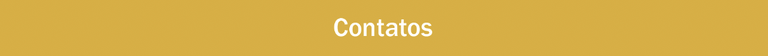 Contatos.png