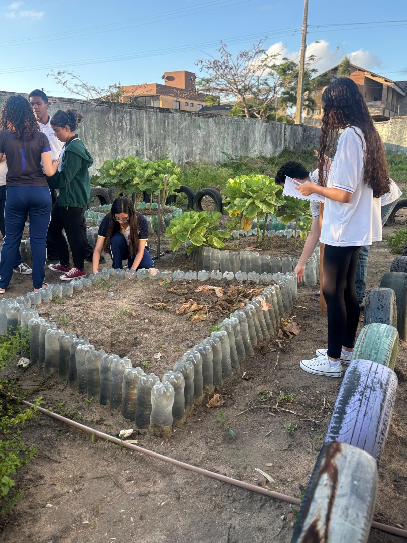 WhatsApp Image 2026-02-25 at 10.29.28.jpeg