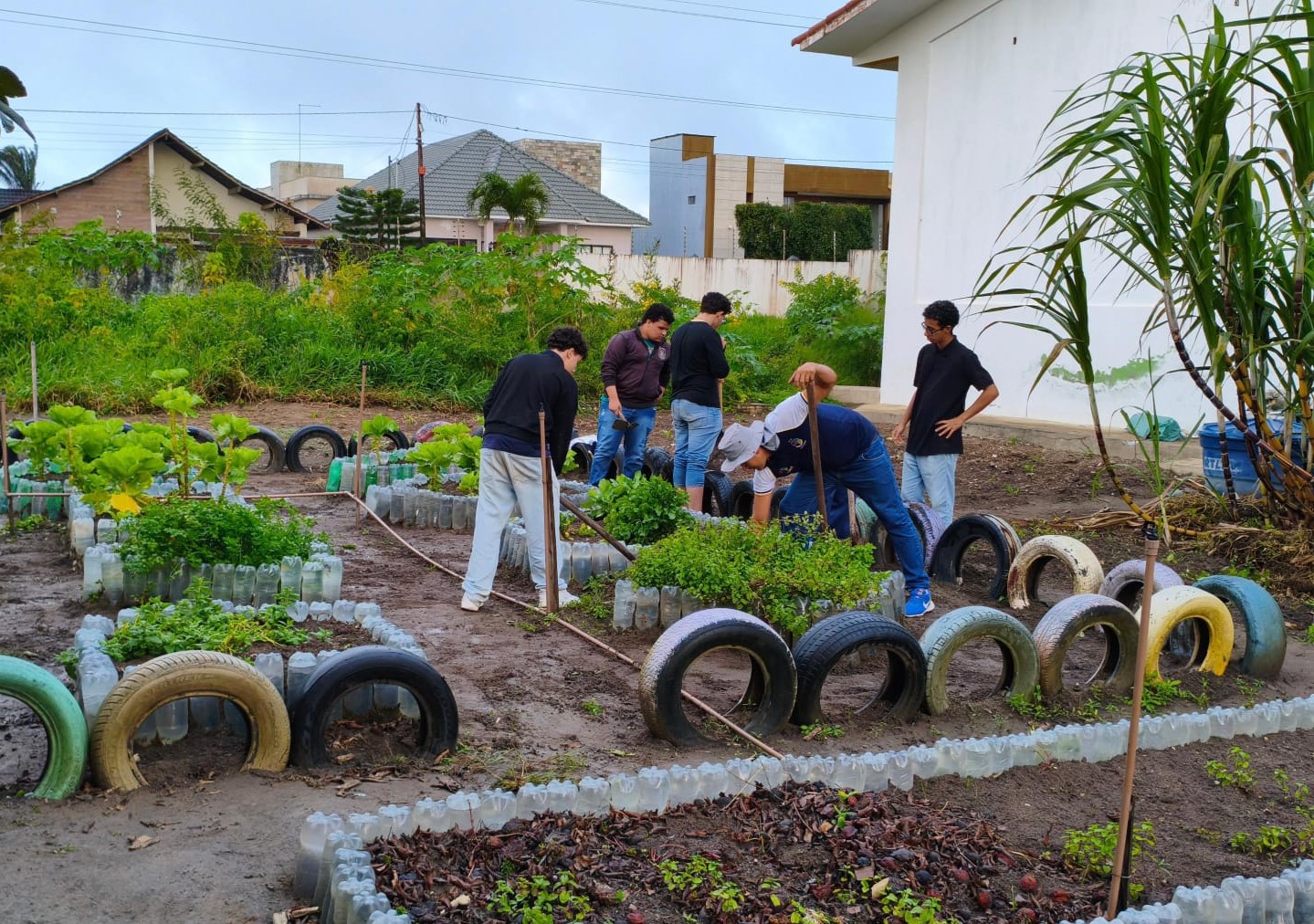 WhatsApp Image 2026-02-25 at 10.29.29.jpeg