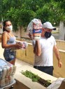 Entrega de Cestas Básicas_Catolé do Rocha_Rede Estadual de Ensino (2).jpeg