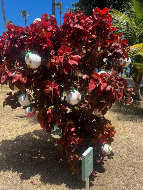 Artesanato e Ressocialização Projeto Rebolar é destaque em evento na Fundação Casa de José Américo_9.jpg