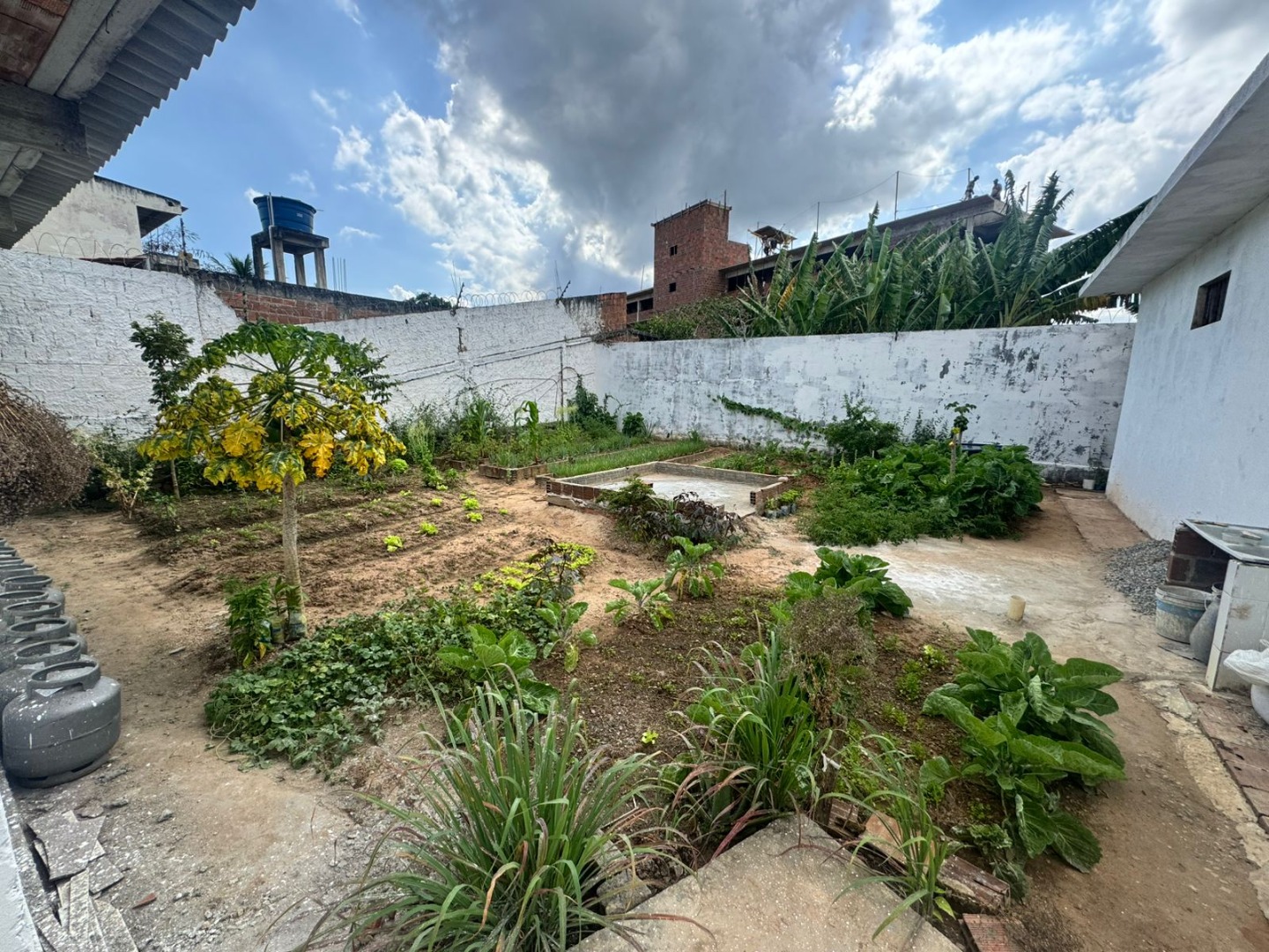 WhatsApp Image 2026-02-05 at 13.58.58 (3).jpeg