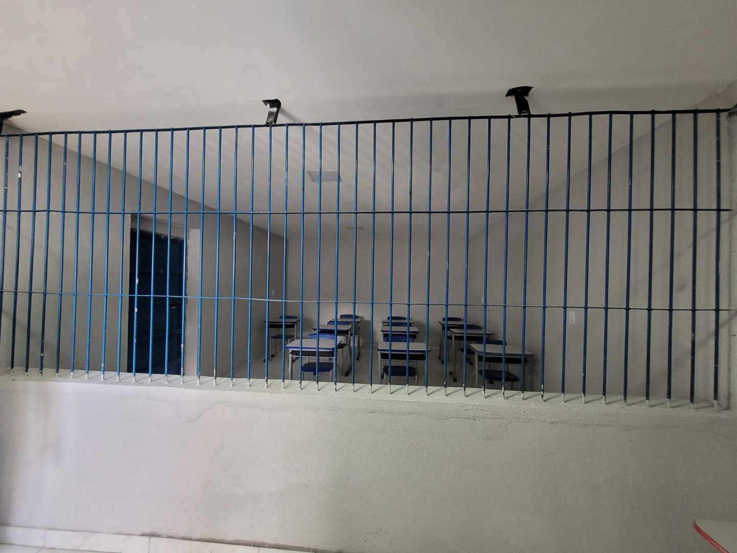 WhatsApp Image 2026-02-06 at 12.10.27.jpeg