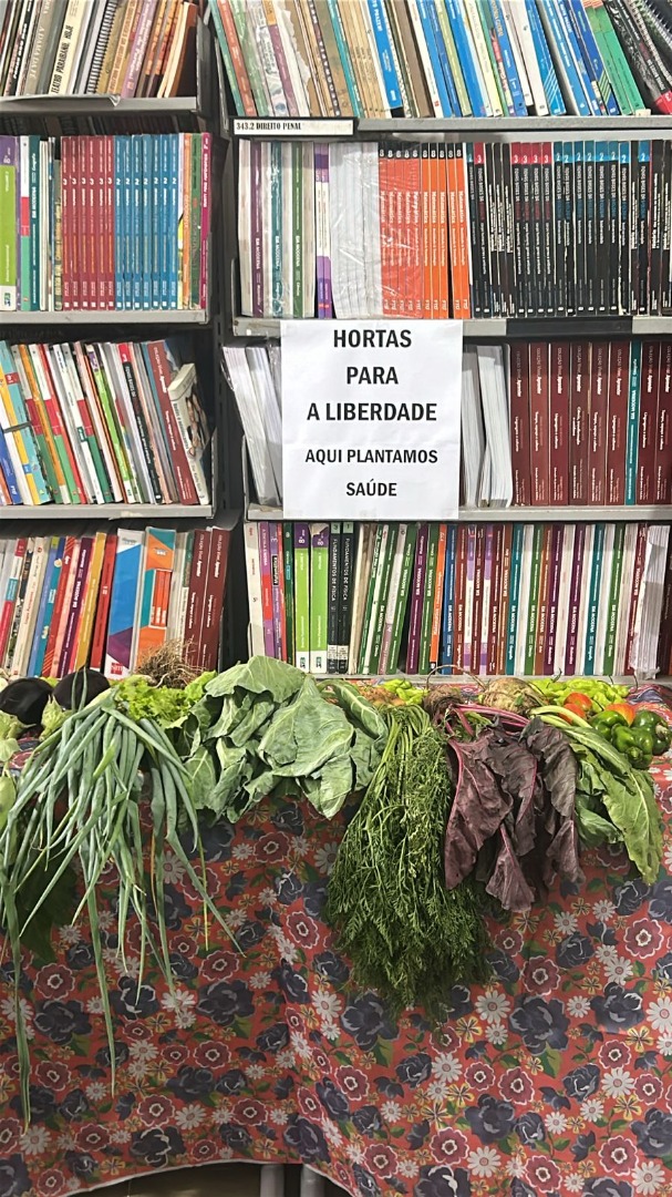 WhatsApp Image 2026-03-03 at 14.53.22.jpeg