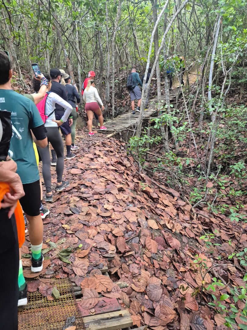 WhatsApp Image 2026-03-28 at 10.08.36 (2).jpeg