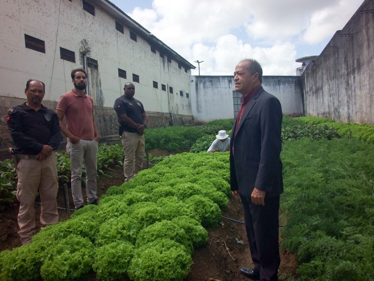 Parceria Seap-PB e Juizado Especial Misto da Comarca de Santa Rita amplia projeto 'Hortas para a Liberdade', na Penitenciária Padrão_1.jpg