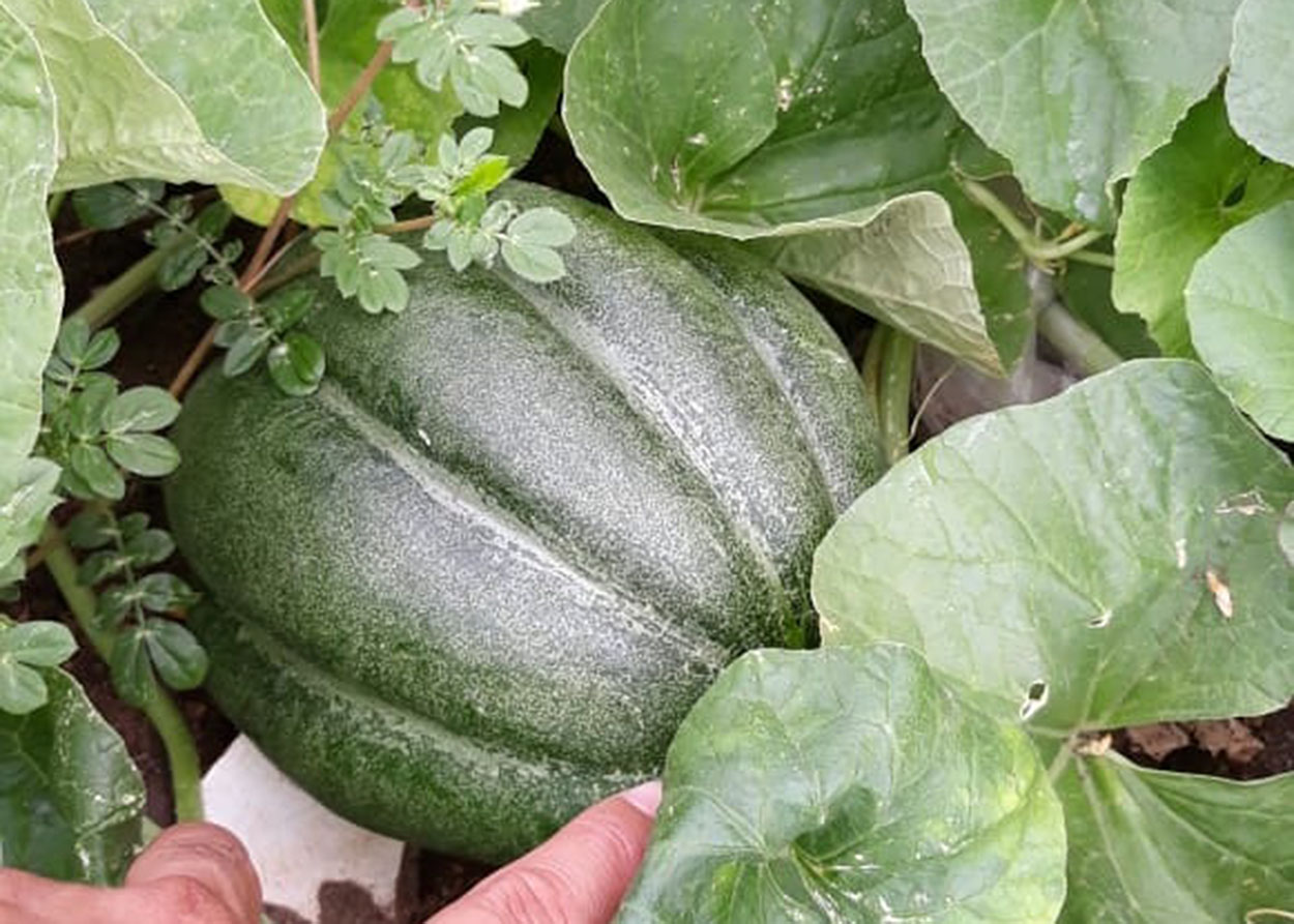 27_01_2020 Governo amplia parcerias e aumenta projetos de ressocialização no sistema penitenciário (17).jpg