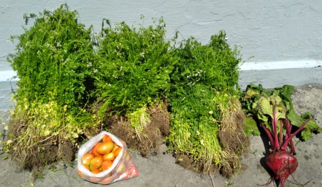 WhatsApp Image 2023-05-29 at 12.11.04 (3).jpeg