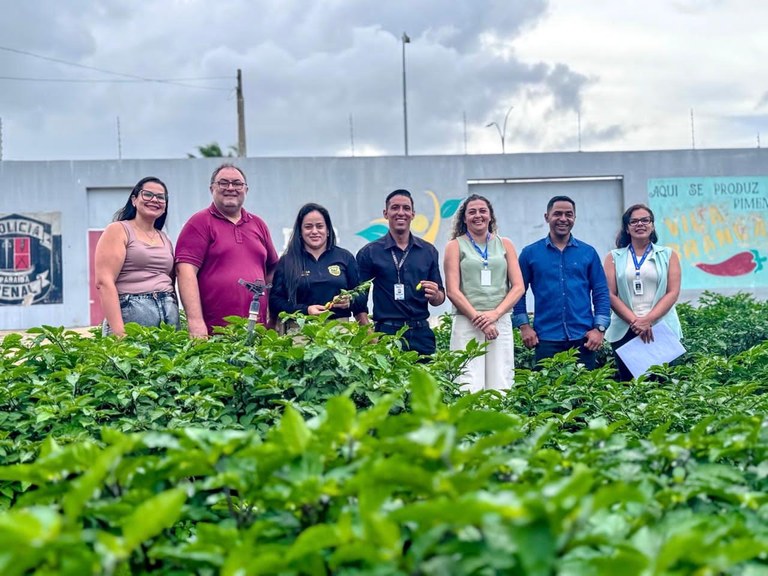 WhatsApp Image 2026-02-27 at 13.53.16.jpeg