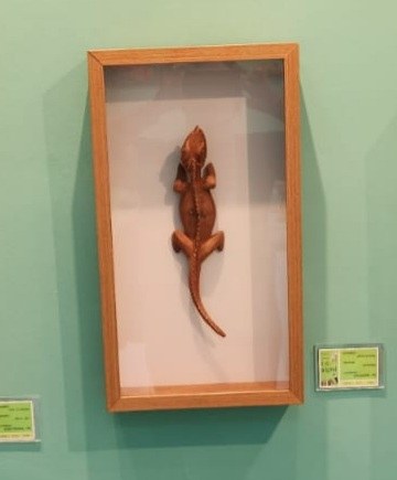 Seap marca presença na celebração do Dia do Artesão no Museu do Artesanato Paraibano Janete Costa_14.jpg