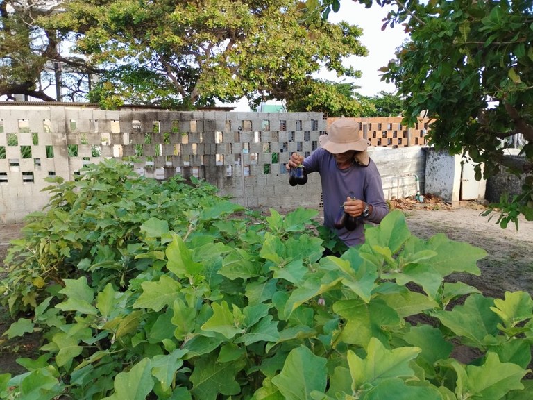 SEAP-PB e Pronatec transformam vidas com Curso de Agricultor Orgânico, em Penitenciária de João Pessoa_13.jpg