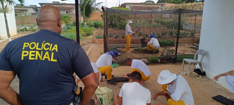 horticultura nas prisões da Paraíba.jpg