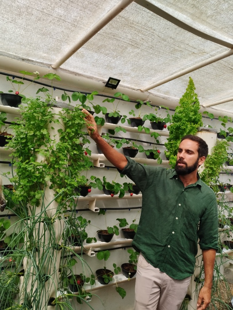 Unidade prisional de Sapé colhe primeiros morangos cultivados em sistema semi-hidropônico_7.jpg