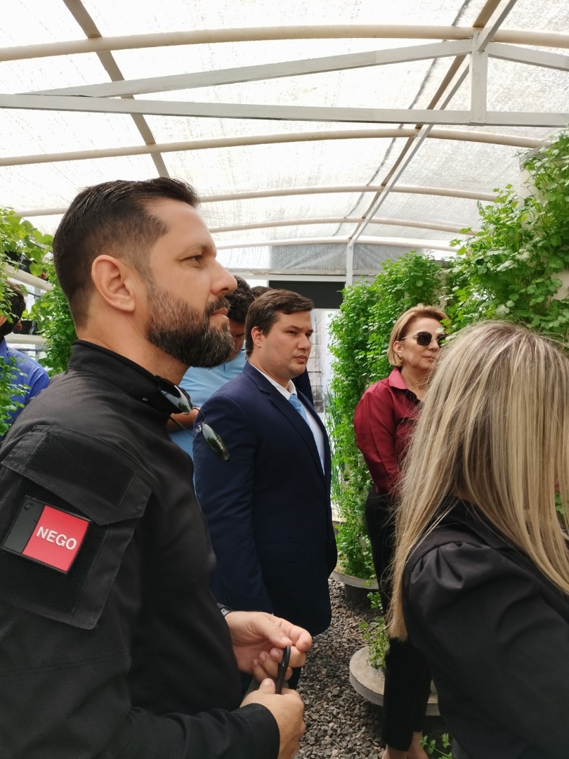 Unidade prisional de Sapé colhe primeiros morangos cultivados em sistema semi-hidropônico_13.jpg