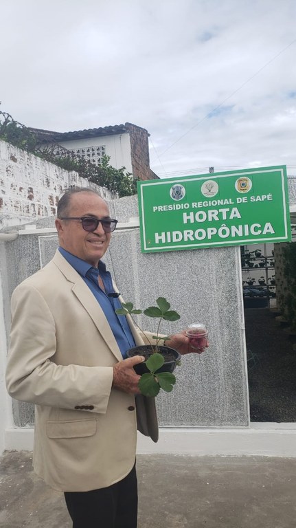 Unidade prisional de Sapé colhe primeiros morangos cultivados em sistema semi-hidropônico_15.jpg