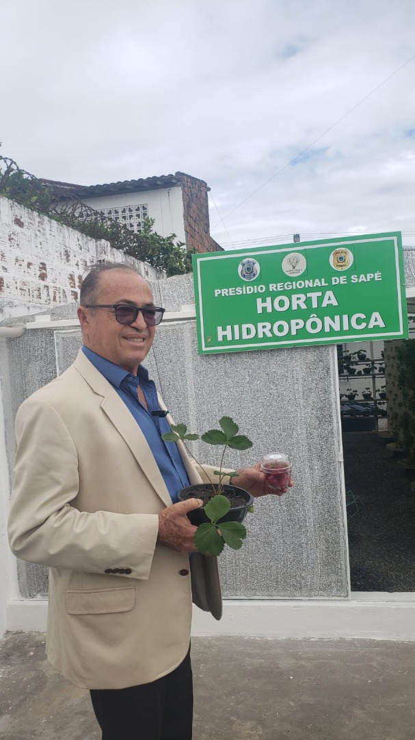 Unidade prisional de Sapé colhe primeiros morangos cultivados em sistema semi-hidropônico_15.jpg