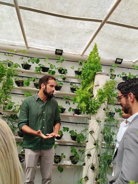 Unidade prisional de Sapé colhe primeiros morangos cultivados em sistema semi-hidropônico_16.jpg