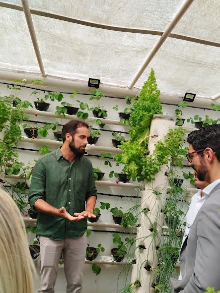 Unidade prisional de Sapé colhe primeiros morangos cultivados em sistema semi-hidropônico_16.jpg