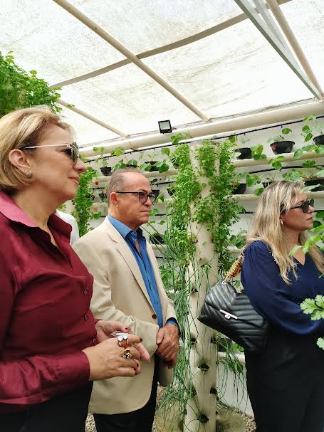 Unidade prisional de Sapé colhe primeiros morangos cultivados em sistema semi-hidropônico_12.jpg