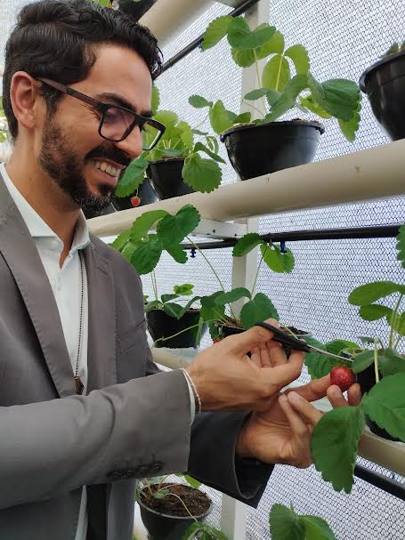Unidade prisional de Sapé colhe primeiros morangos cultivados em sistema semi-hidropônico_3.jpg