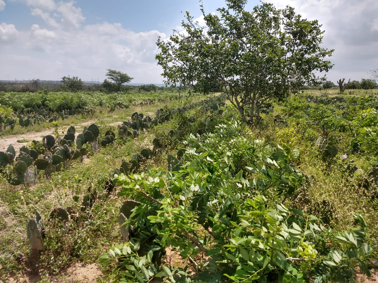 WhatsApp Image 2019-08-28 at 23.16.00.jpeg