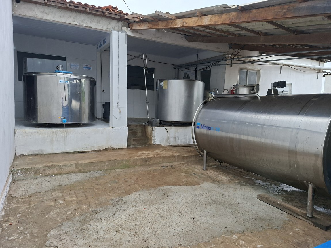 Governo da Paraíba investe R$ 1,5 milhão na primeira fábrica de leite em pó de cabra do Nordeste