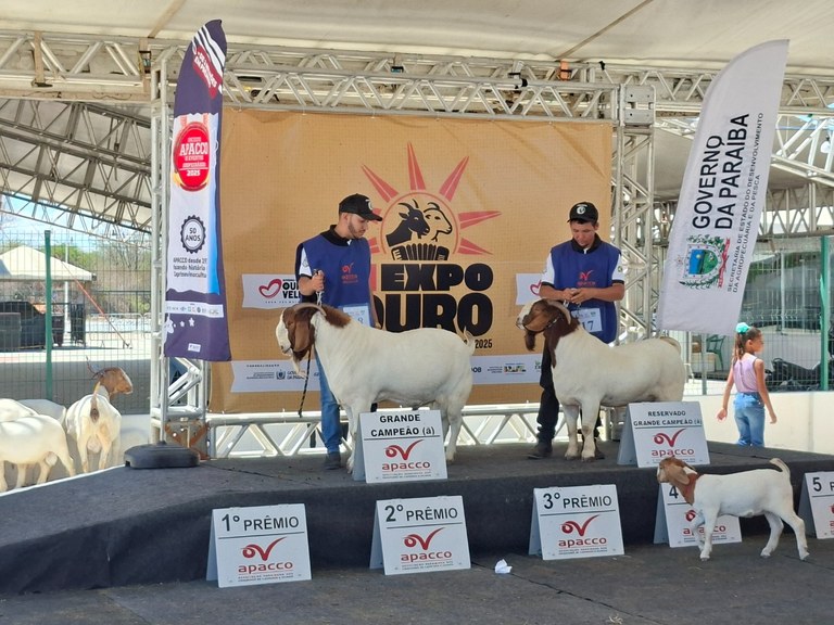 Expo Ouro - Torneio de raças.jpg