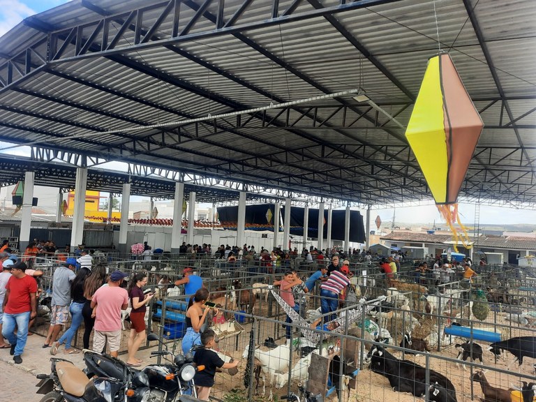 Exposição de animais na Caprifeira.jpg