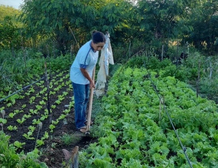 Projetos da Sedap-PB destacam o protagonismo das mulheres do agro em Zabelê