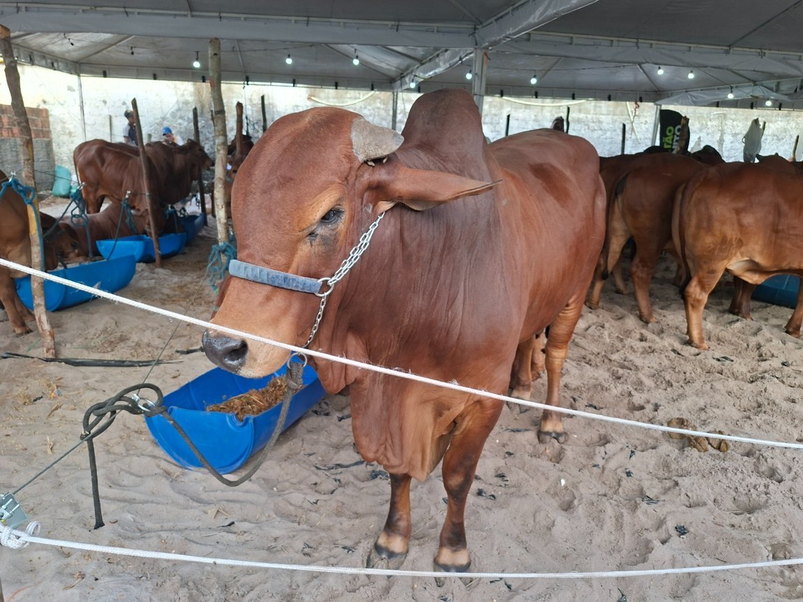 Com apoio do Governo da Paraíba, Agromar apresenta exposições, palestras e oficinas em Lucena