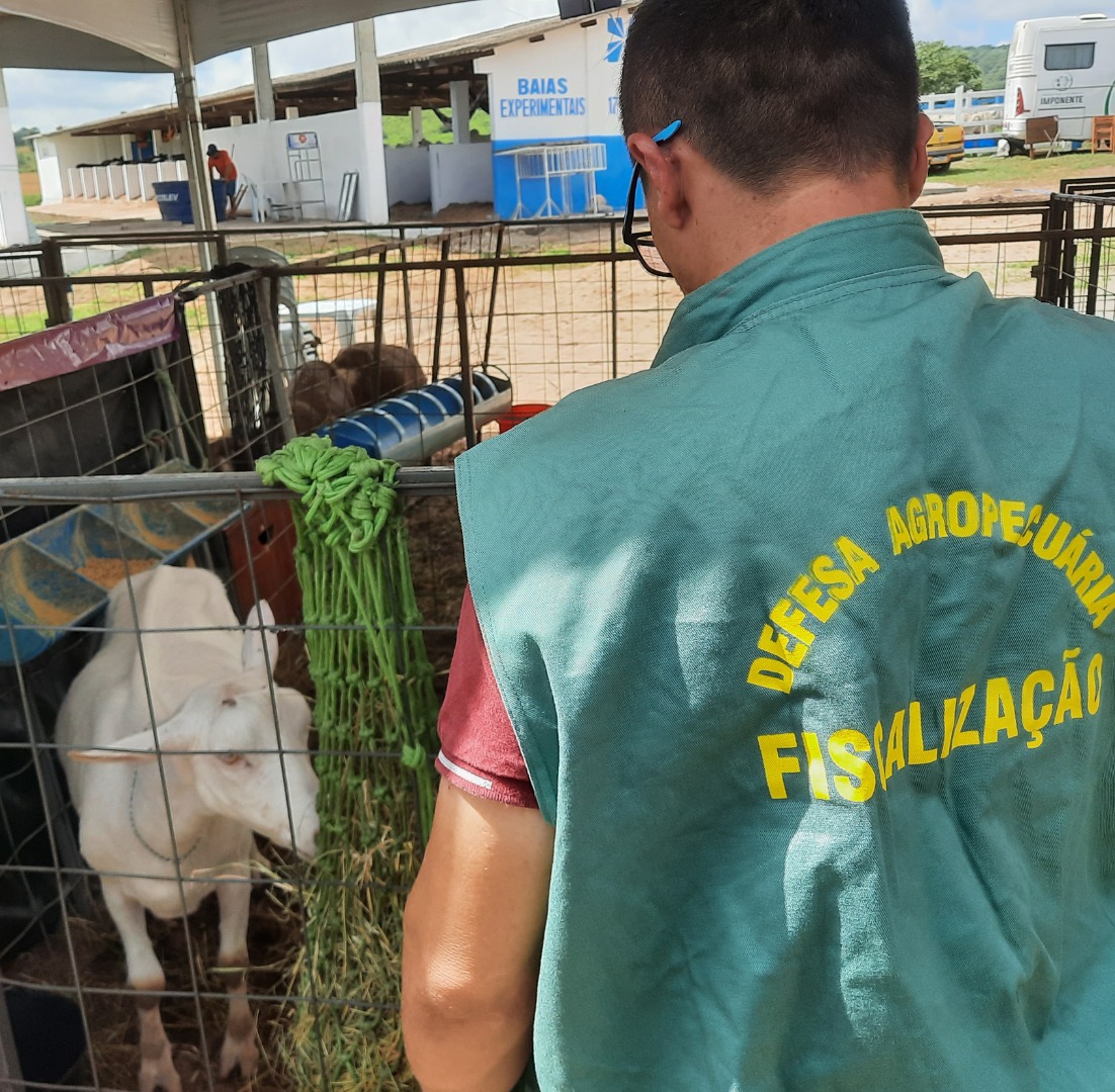 Defesa Agropecuária.jpg