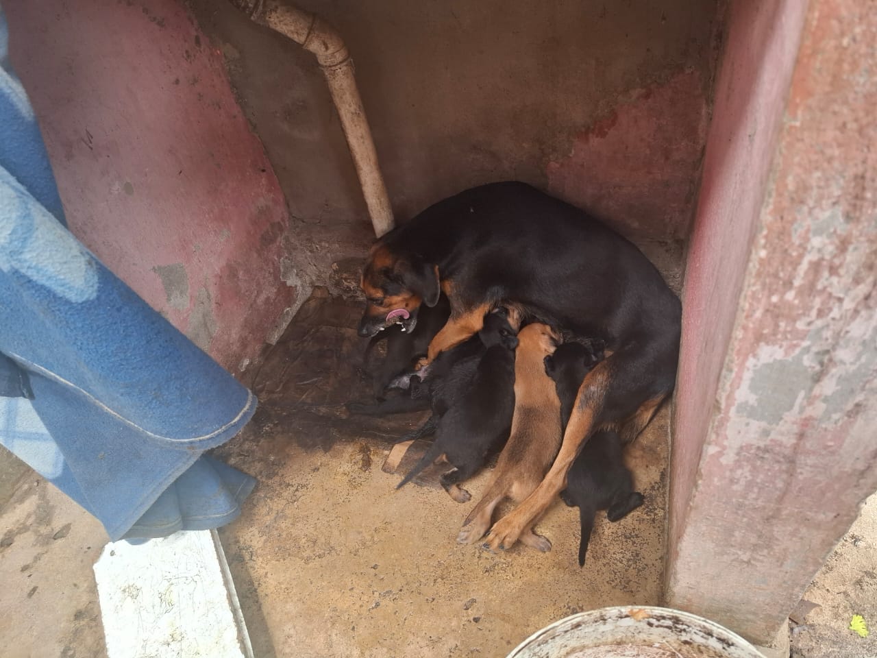 WhatsApp Image 2026-04-07 at 14.55.21.jpeg