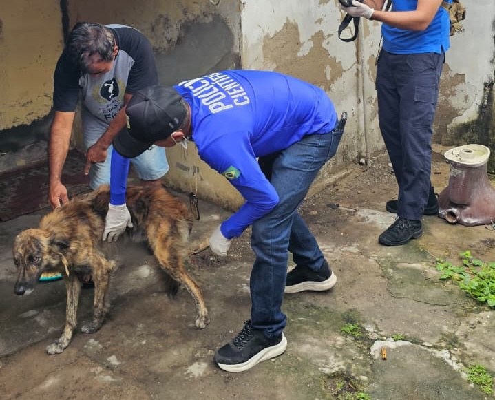 WhatsApp Image 2026-04-07 at 14.55.22.jpeg