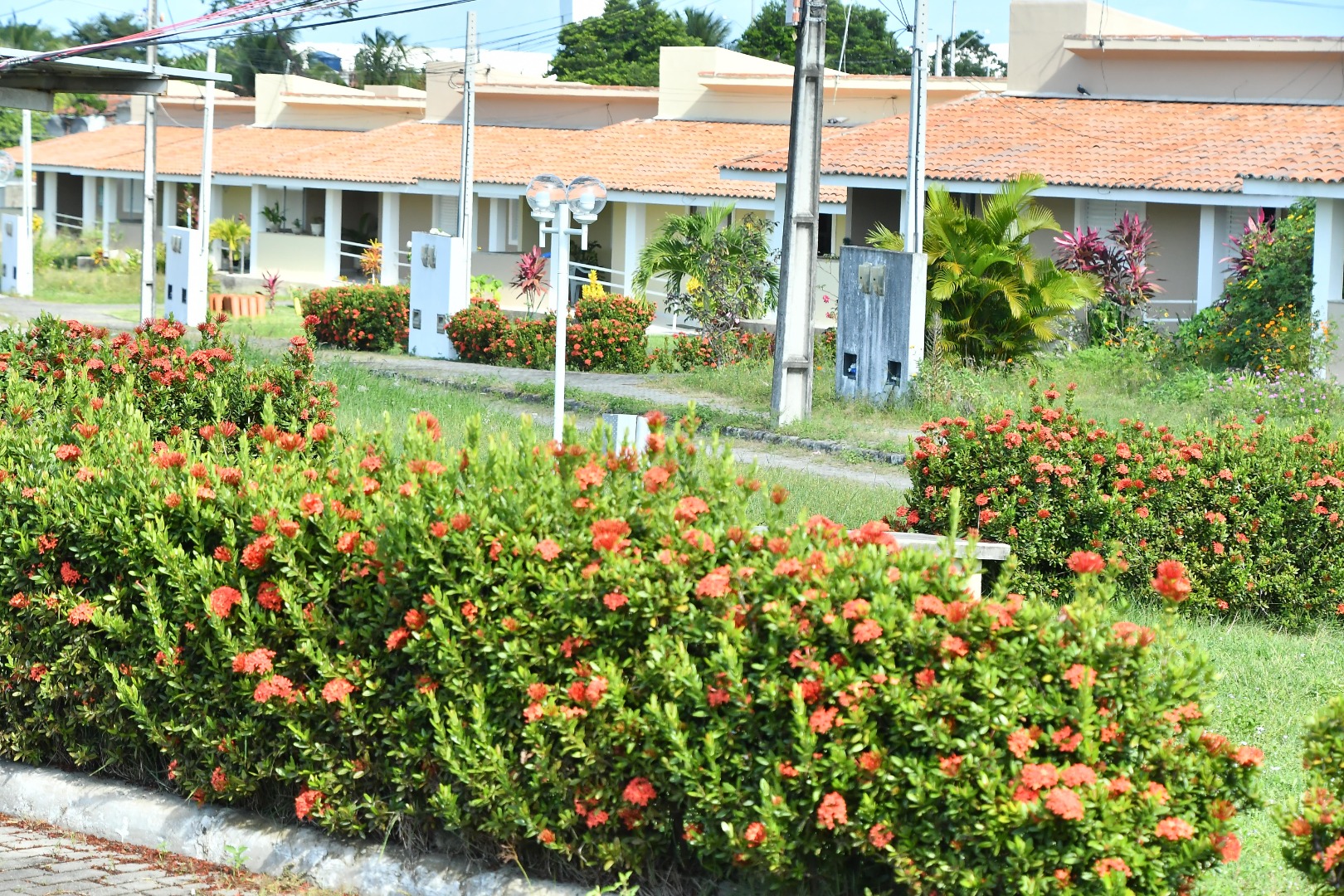 23-08-23 Visita Técnica Cidade Madura JP RN e Amapa foto manodecarvalho  (798) (Copy).JPG