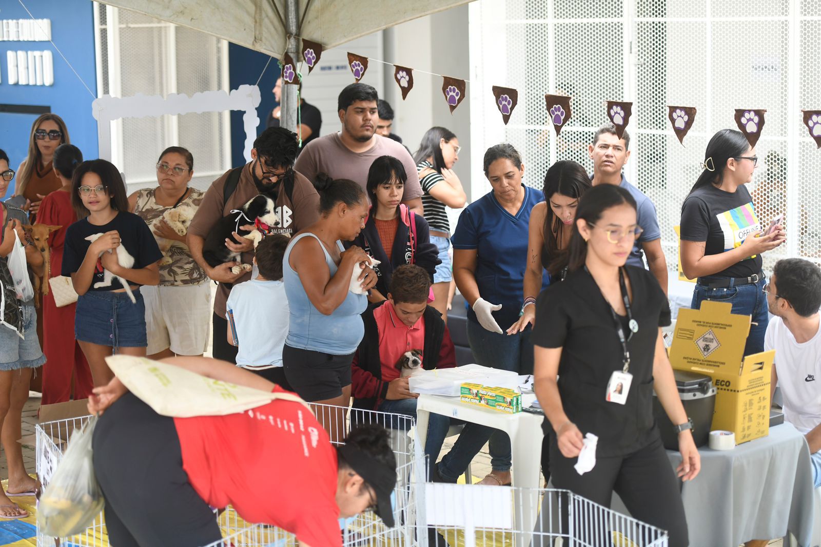 Adota mais Paraíba_Monteiro  (6).jpeg