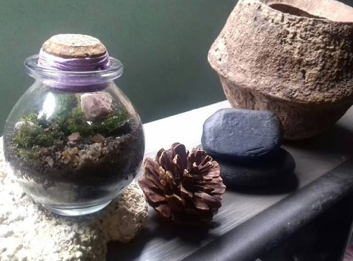 oficina de mini jardim (2).jpg