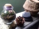 oficina de mini jardim (2).jpg