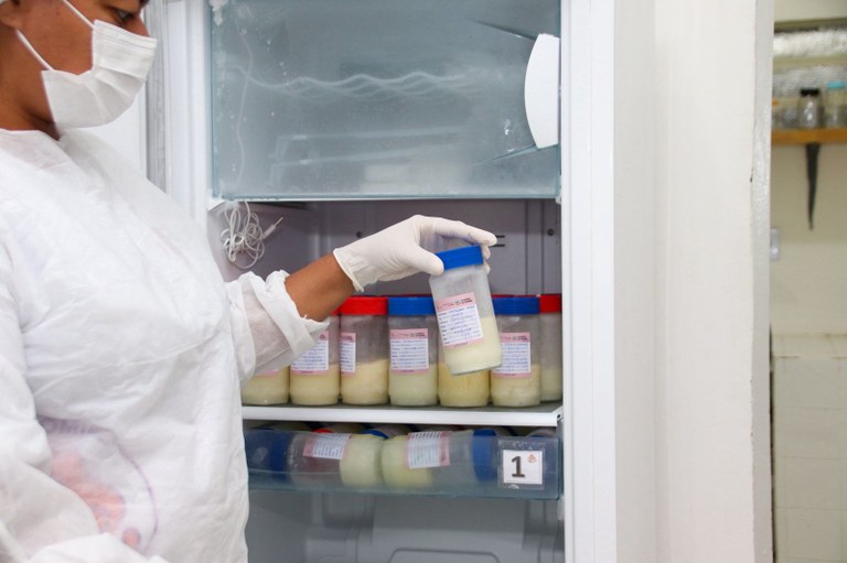 WhatsApp Image 2025-07-31 at 15.36.28.jpeg