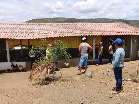 02_04_19 Agricultores de Alcantil conhecem família agricultora modelo em Santa Cecília (1).jpg