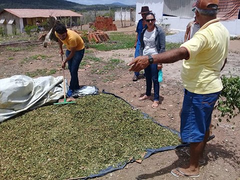 02_04_19 Agricultores de Alcantil conhecem família agricultora modelo em Santa Cecília (3).jpg