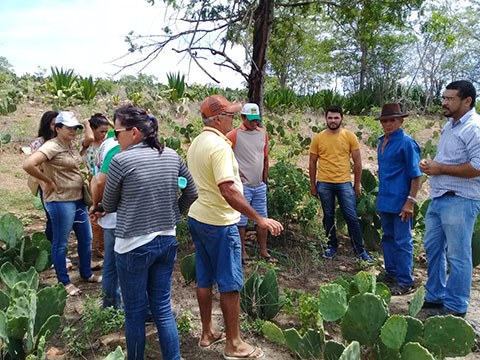 02_04_19 Agricultores de Alcantil conhecem família agricultora modelo em Santa Cecília (4).jpg