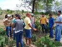 02_04_19 Agricultores de Alcantil conhecem família agricultora modelo em Santa Cecília (4).jpg